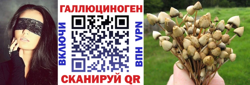 MEGA ссылка  Чита  Псилоцибиновые грибы ЛСД 